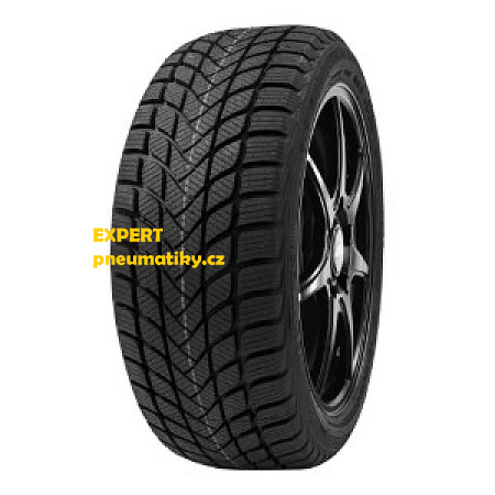DELINTE WINTER WD6
